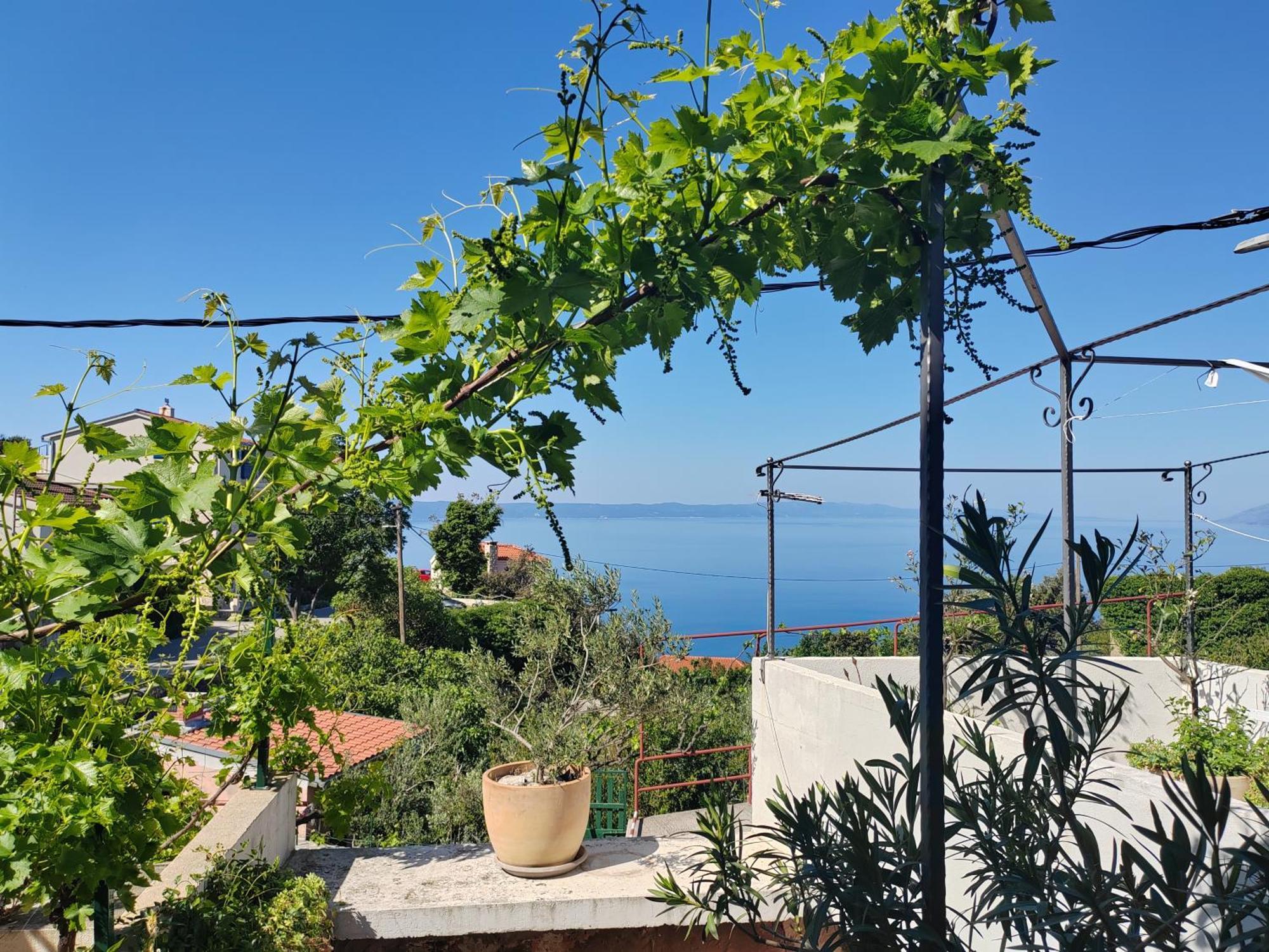 Mala Cele Apartment Podgora Room photo